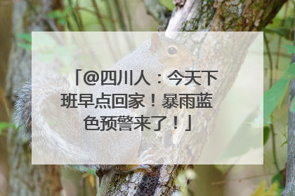 @四川人：今天下班早点回家！暴雨蓝色预警来了！