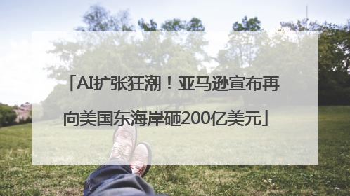 AI扩张狂潮！亚马逊宣布再向美国东海岸砸200亿美元