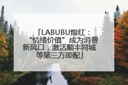LABUBU爆红：“情绪价值”成为消费新风口，激活顺丰同城等第三方即配