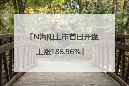 N海阳上市首日开盘上涨186.96%